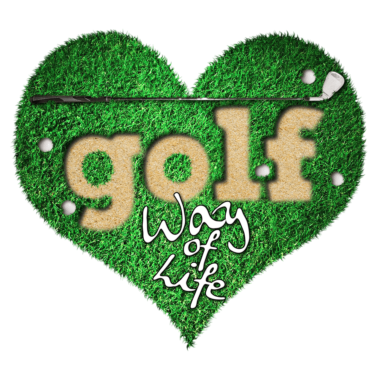 Golf Match Challenge