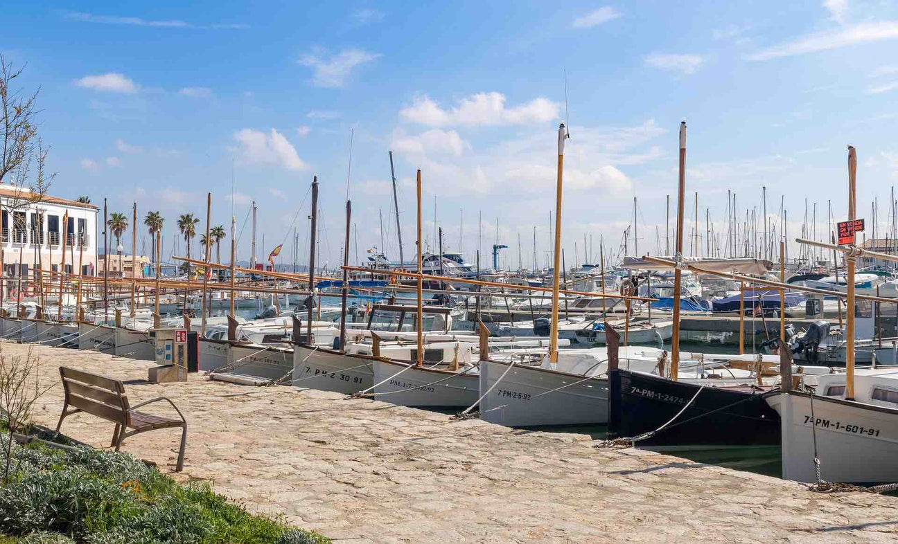 Wine Fair in Pollence with view to the harbour