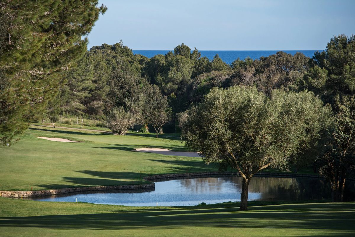 Étang parmi les oliviers avec la mer en arrière-plan – Canyamel Golf, Mallorca