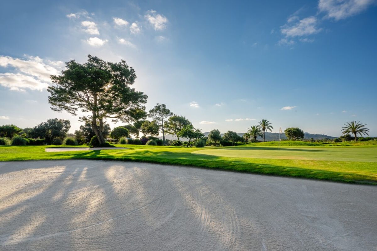 Sand path and a pine tree in the evening sun at Capdepera Golf, Mallorca