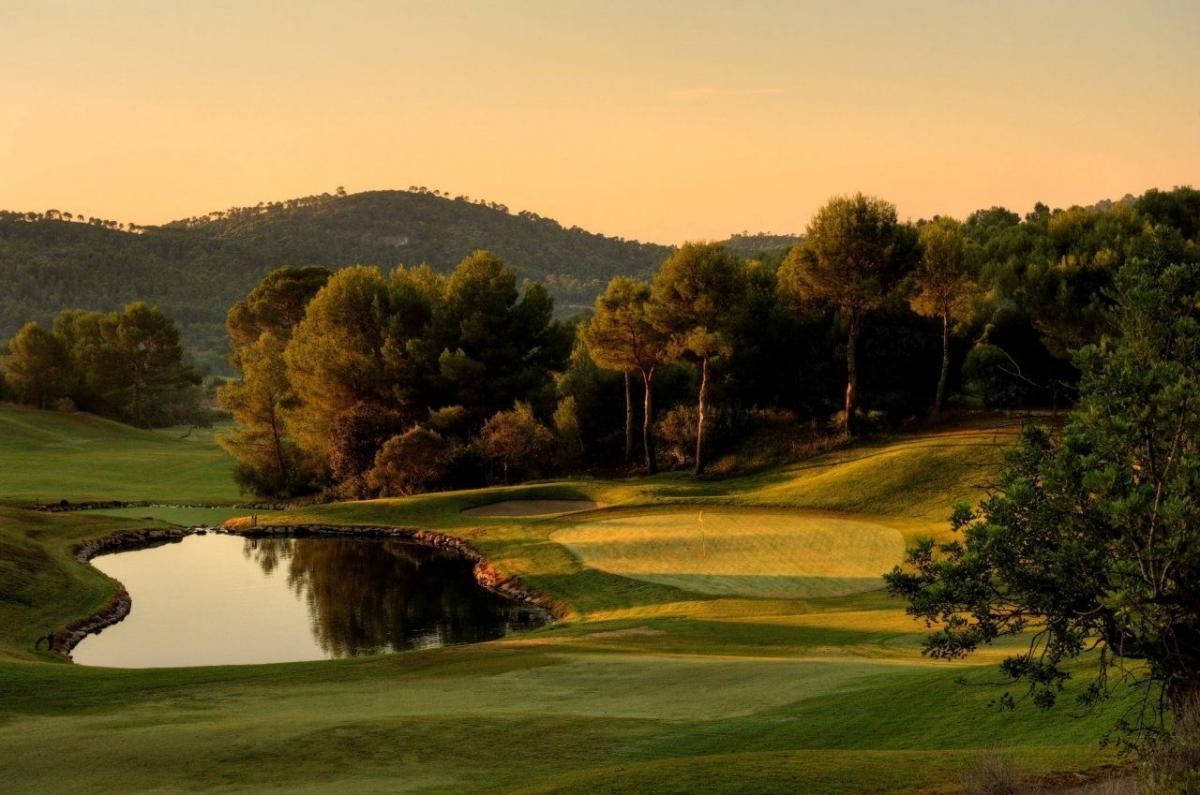 Teich und Kiefern im warmen Abendlicht – Golf de Andratx, Mallorca