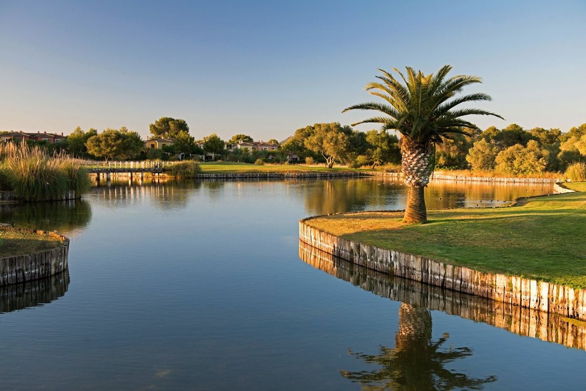 Lake with a palm tree reflected in the water at Son Antem East golf course, Mallorca