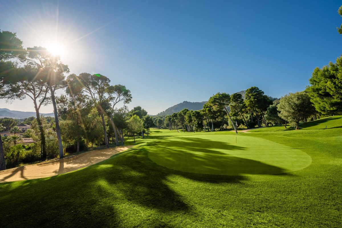 Fairway in der Nachmittagssonne zwischen Kiefern – Son Servera Golf Club, Mallorca