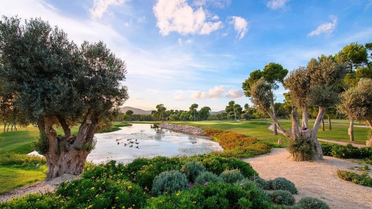 Teich, umrahmt von Olivenbäumen und Sträuchern – Son Servera Golf Club, Mallorca
