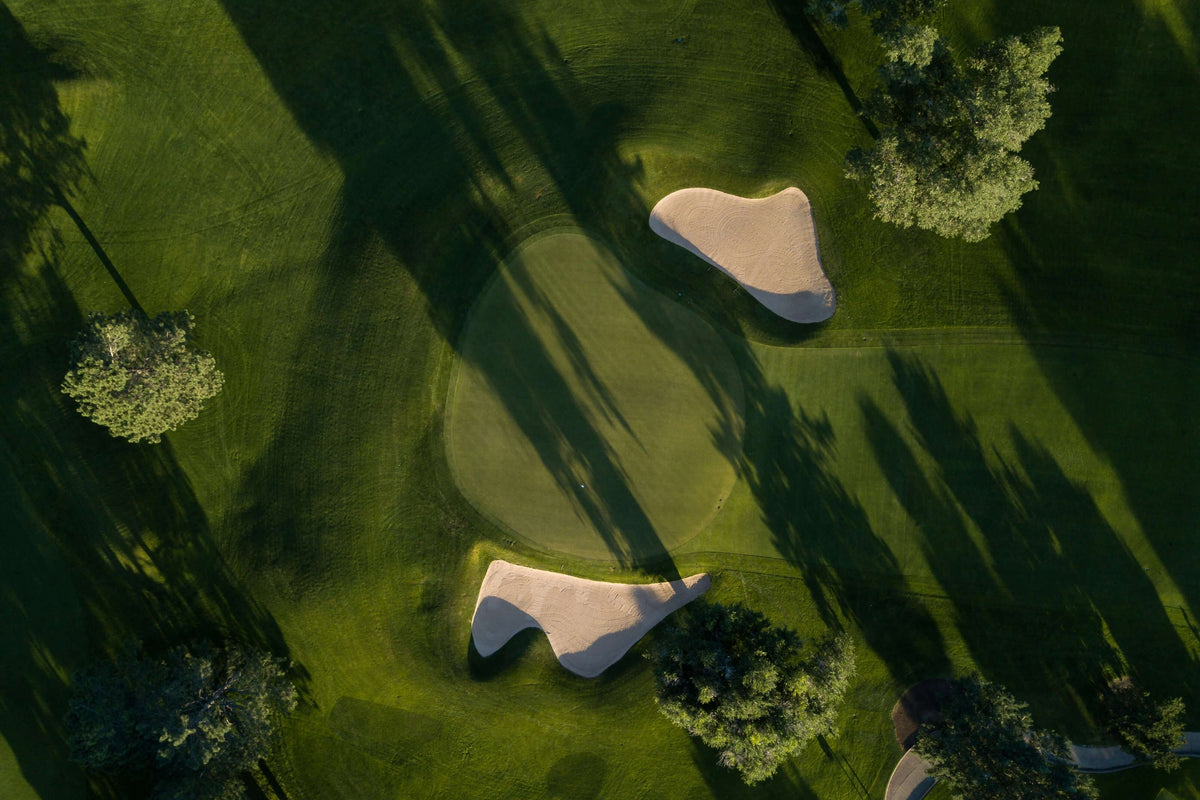 Drone view of the Green