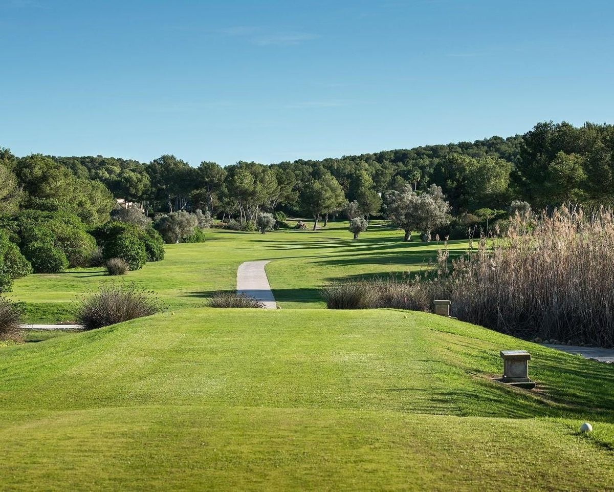 Tee box and fairway lined with pine trees at Golf Santa Ponsa I, Mallorca