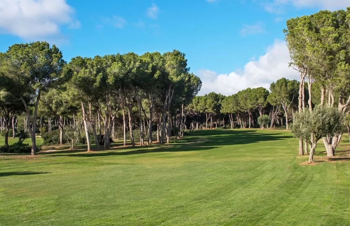 Fairway omzoomd door hoge dennen – Golf Santa Ponsa II, Mallorca