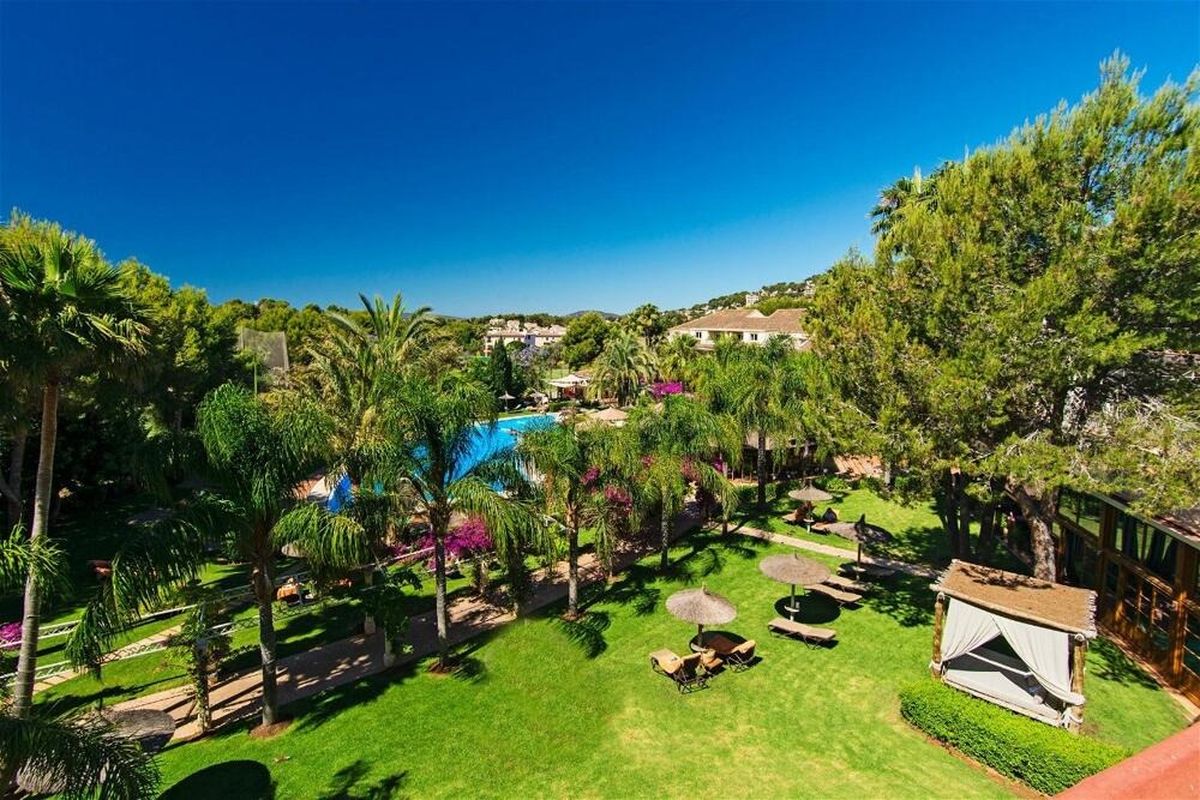 Palm garden and lawn at the Lindner Hotel Mallorca Portals Nous