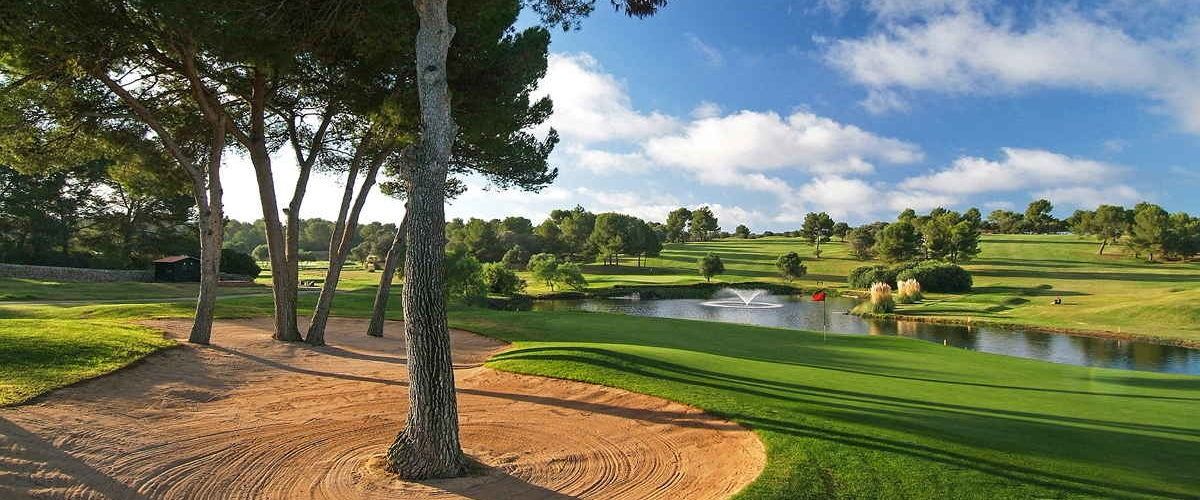 Sandbunker och tallstam med utsikt över sjön – Golf Maioris, Mallorca