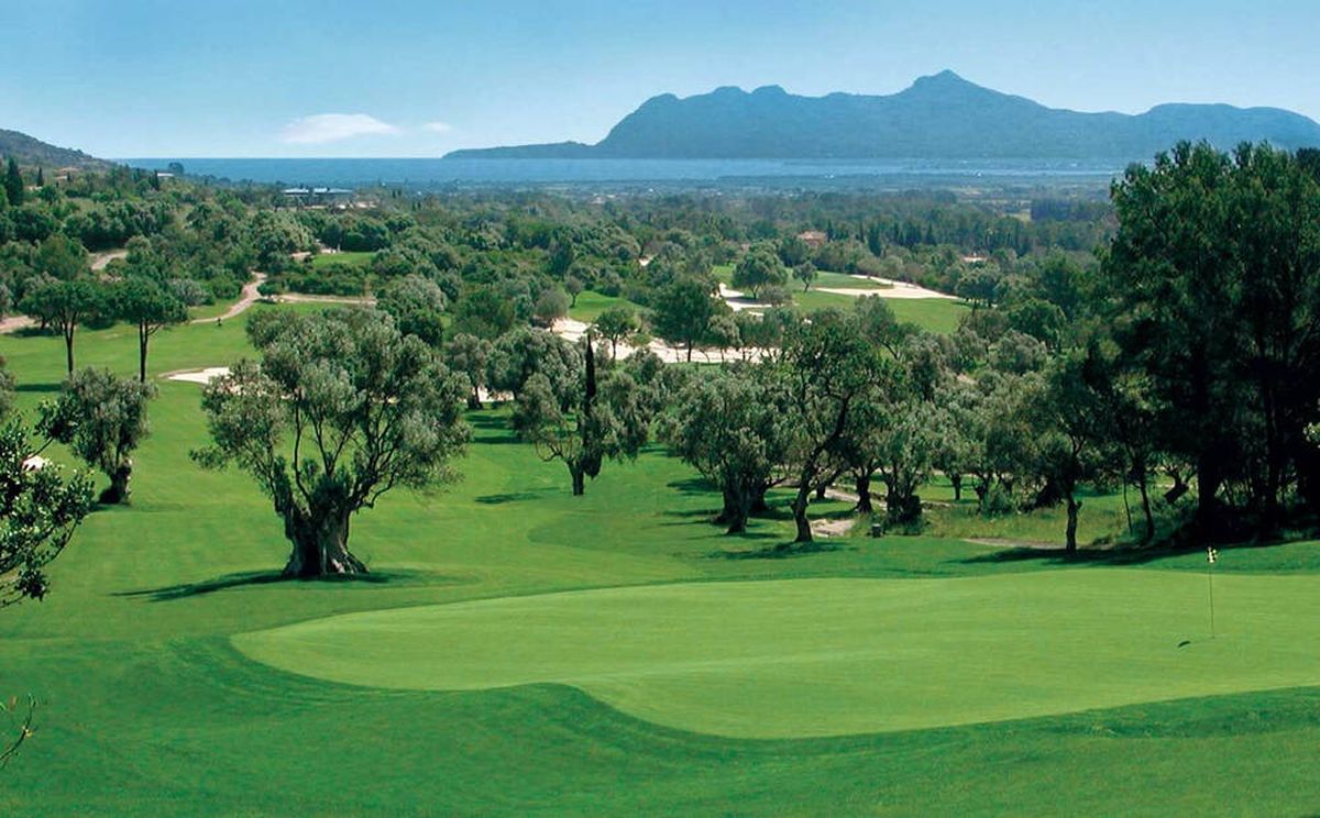 Green framed by olive trees with a view of the bay at Golf Pollensa, Mallorca