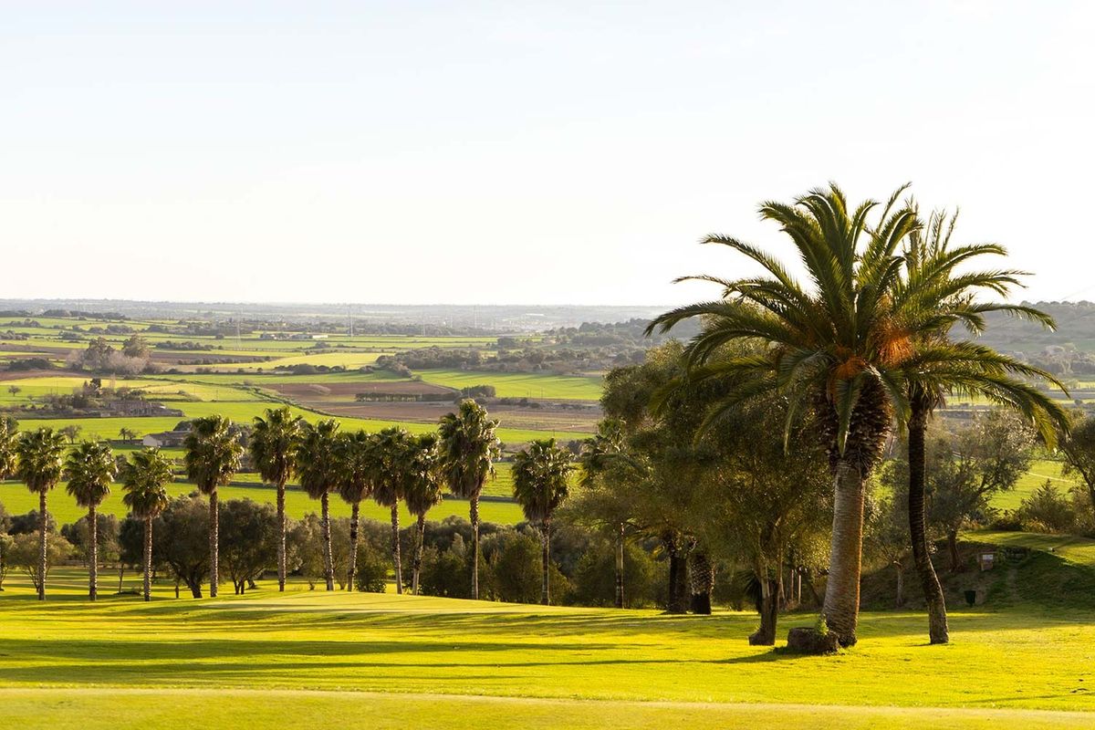 Palm tree on the fairway with a view across the Mallorcan plain at La Reserva Rotana Golf, Mallorca