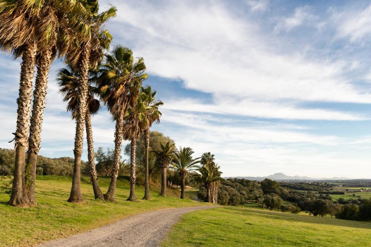 Palm-lined path beside the fairway at La Reserva Rotana Golf, Mallorca