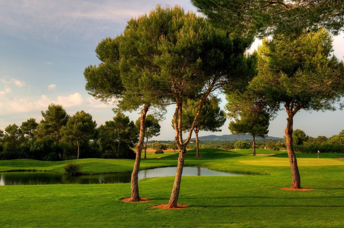 Pine trees and a pond beside the fairway at Son Antem West golf course, Mallorca
