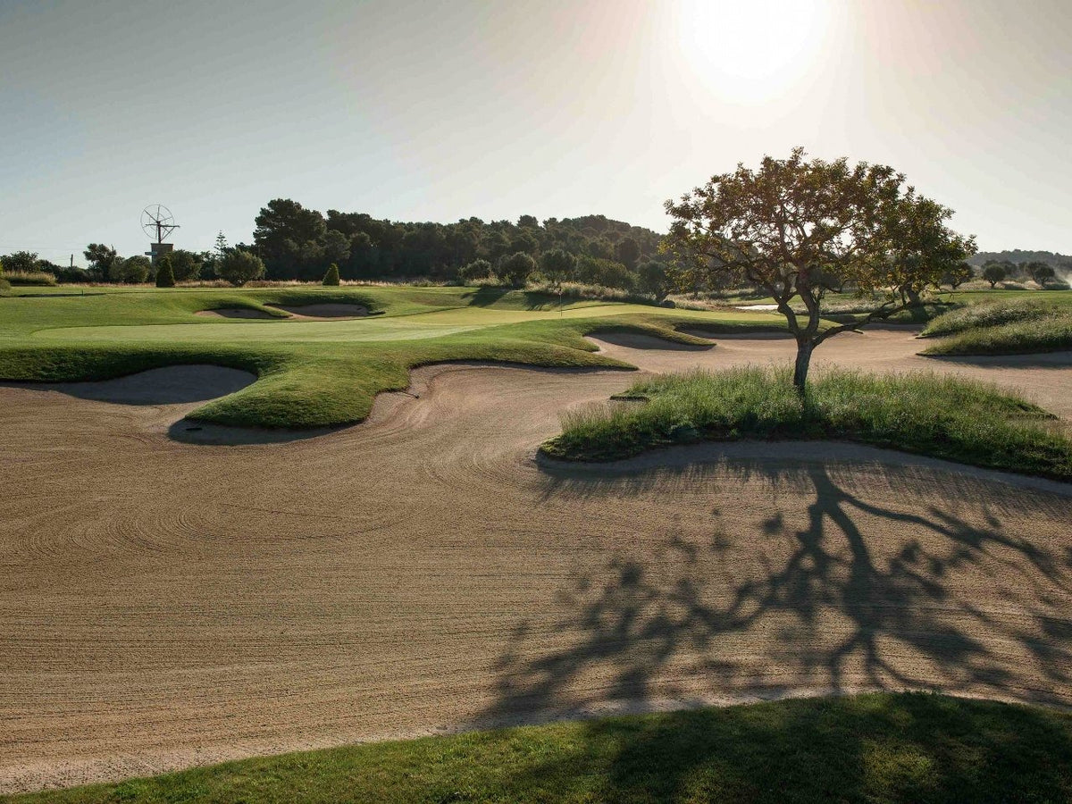Sandbunker und ein einzelner Baum im Abendlicht – Son Gual Golf, Mallorca