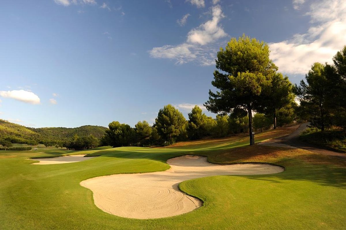 Geschwungene Sandbunker und eine Kiefer – Arabella Golf Son Quint, Mallorca