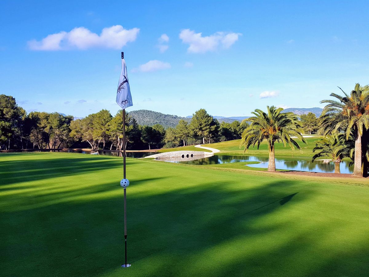 Green with a flag, palm trees and a pond at T-Golf Calvià, Mallorca