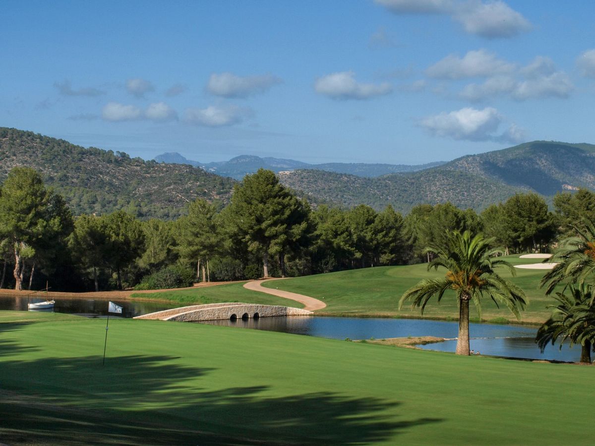 Palm tree, stone bridge and pond on the course at T-Golf Palma Puntiró, Mallorca