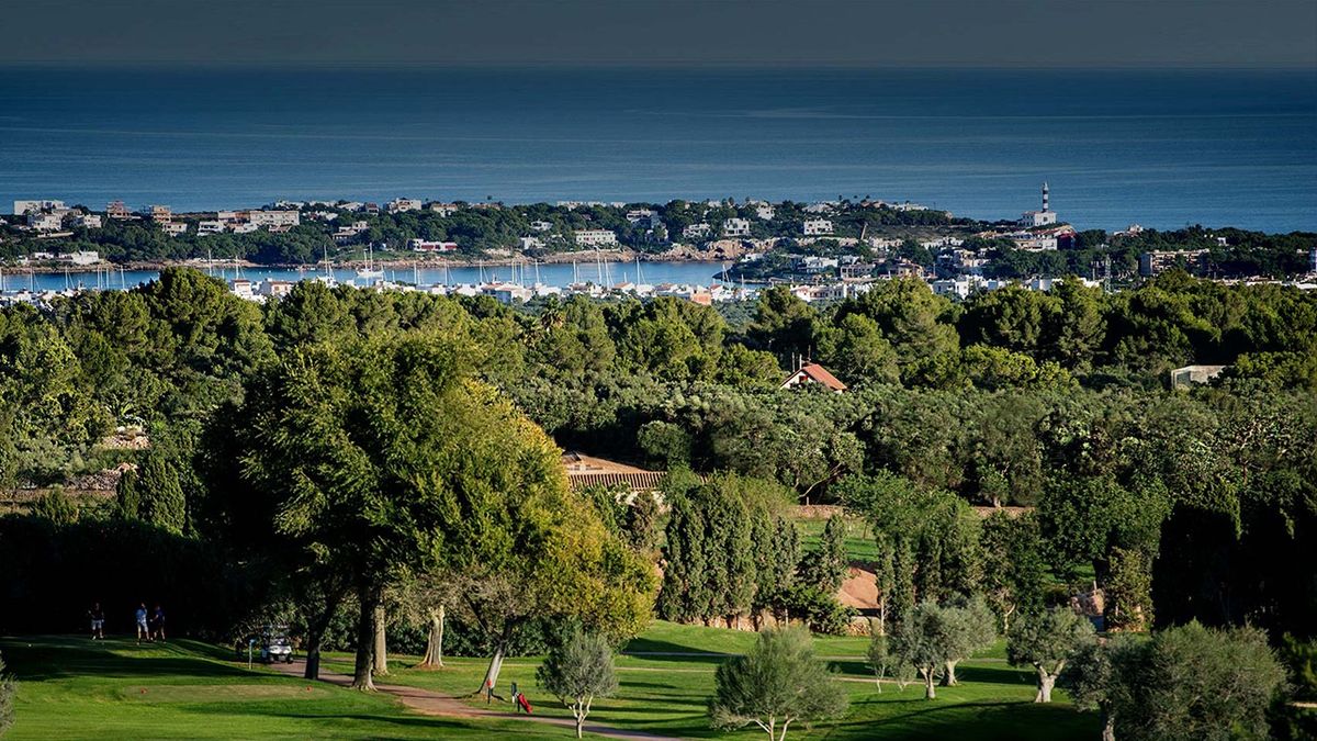 Vista de un puerto deportivo por encima de los árboles – Vall d'Or Golf, Mallorca