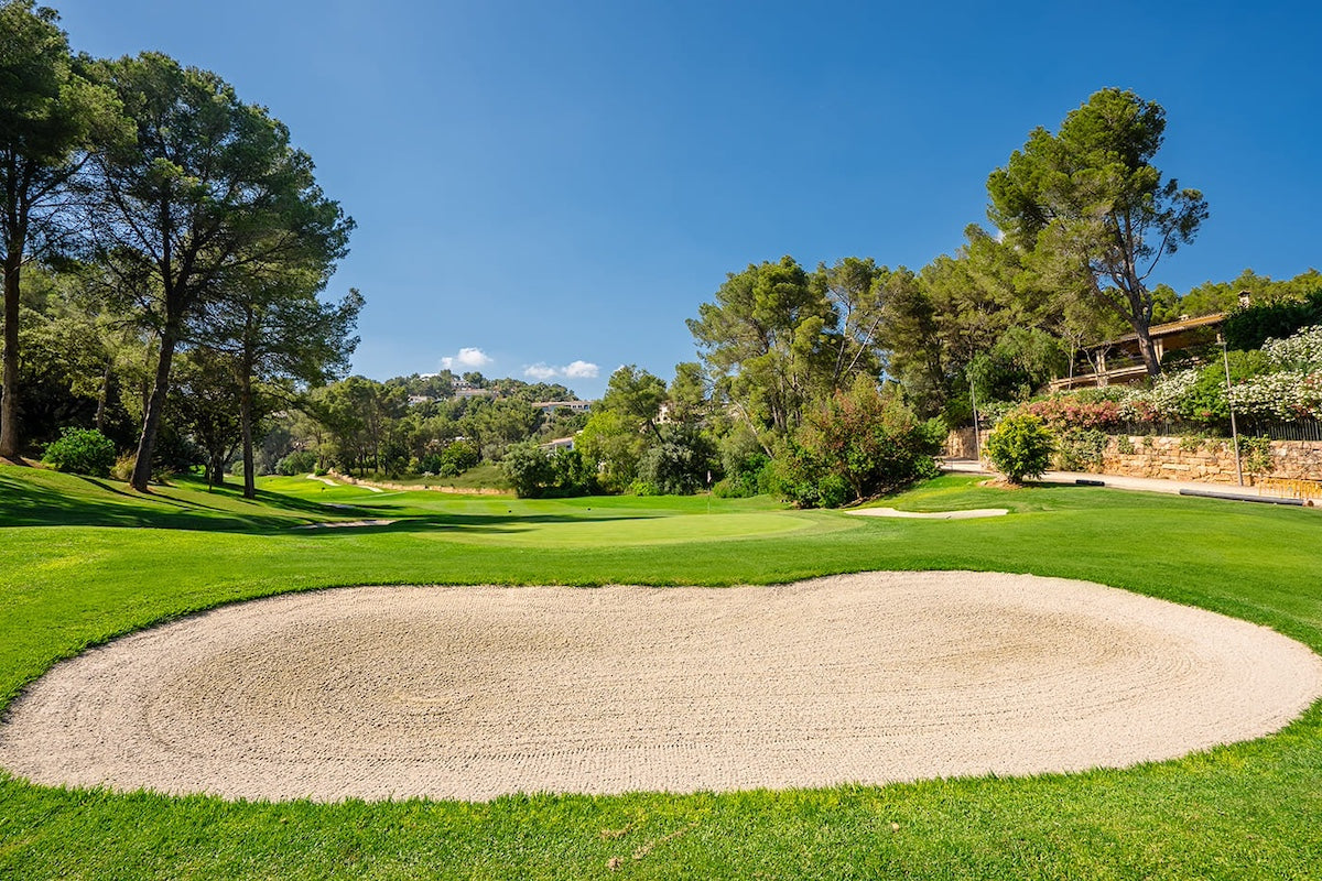 Großer Sandbunker und Grün vor Kiefern – Arabella Golf Son Vida, Mallorca