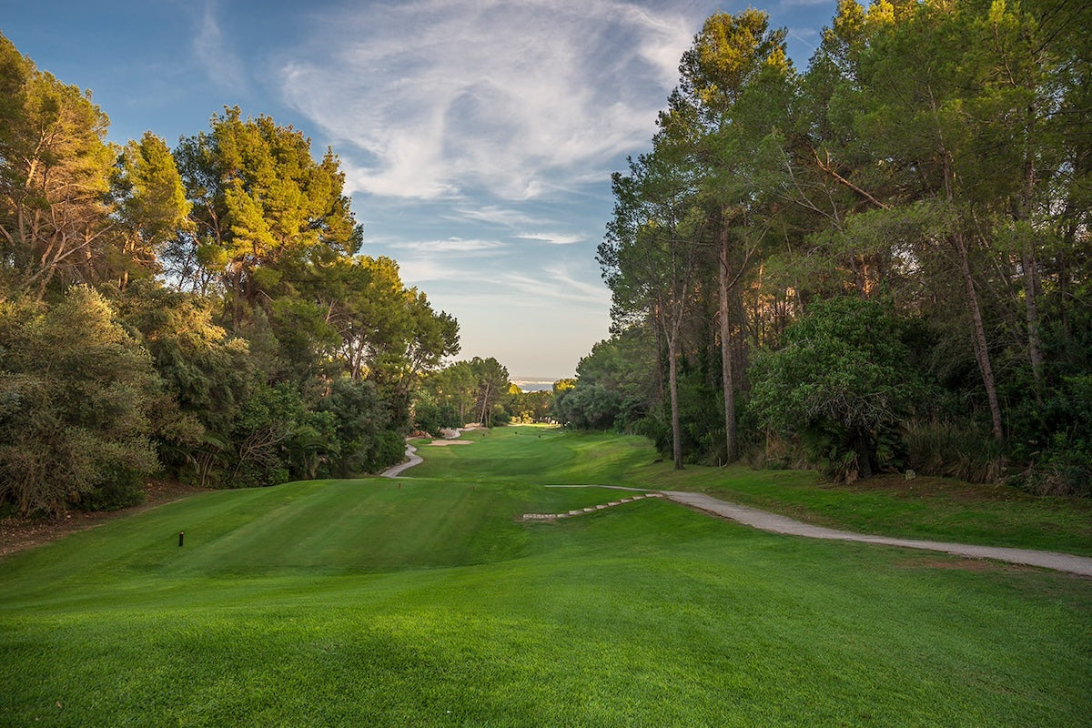 Von Bäumen gesäumtes Fairway im Kiefernwald – Arabella Golf Son Vida, Mallorca